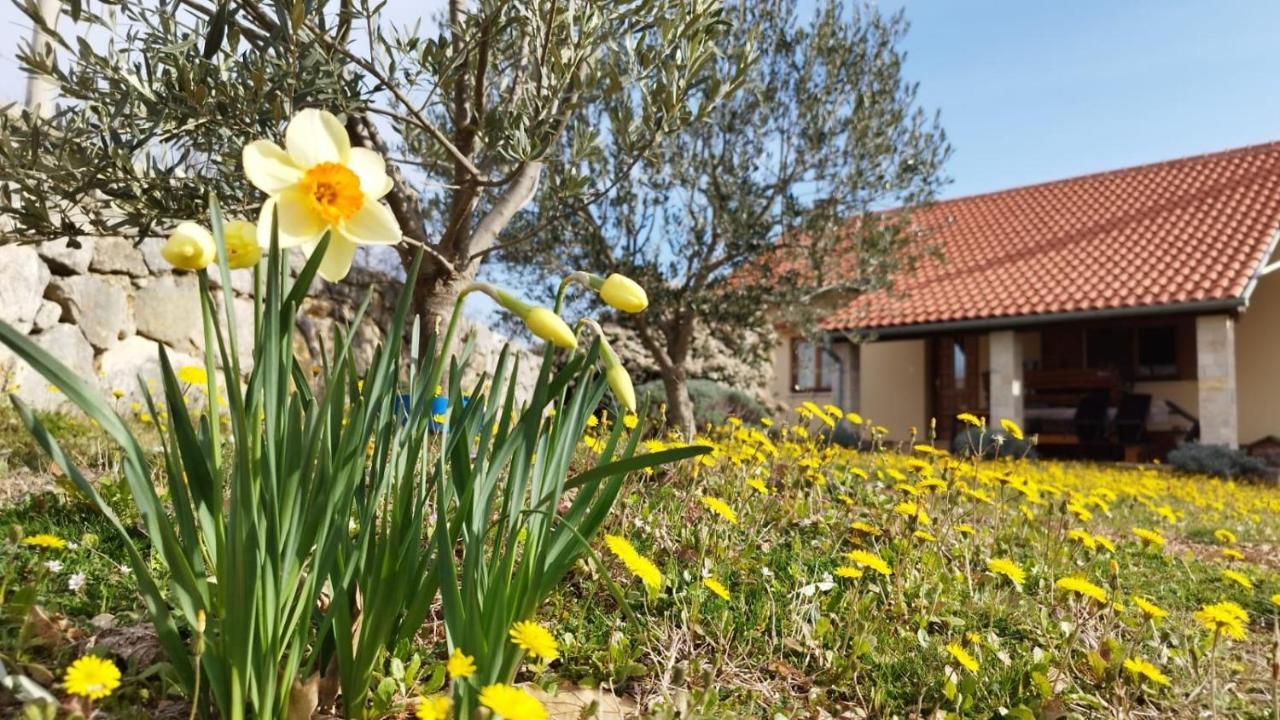 Holiday House Green Dream Obrovac Exteriör bild